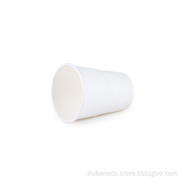Eco Friendly Disposable & Biodegradable Catering Plate